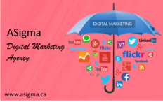Boost Sales with the Leading Digital Marketing Company Toronto – ASigma