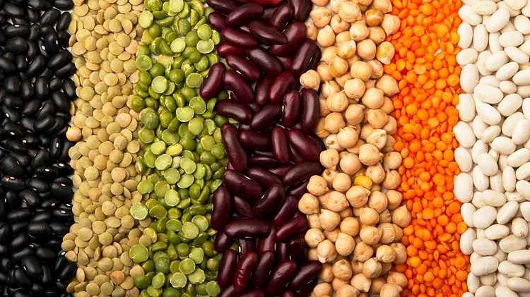 Protein enriched pulses