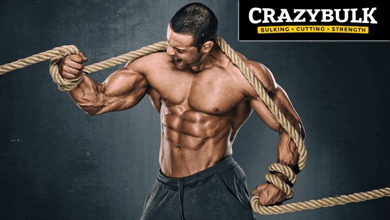 CrazyBulk Review 2019: Do These Legal Steroids Really Work?