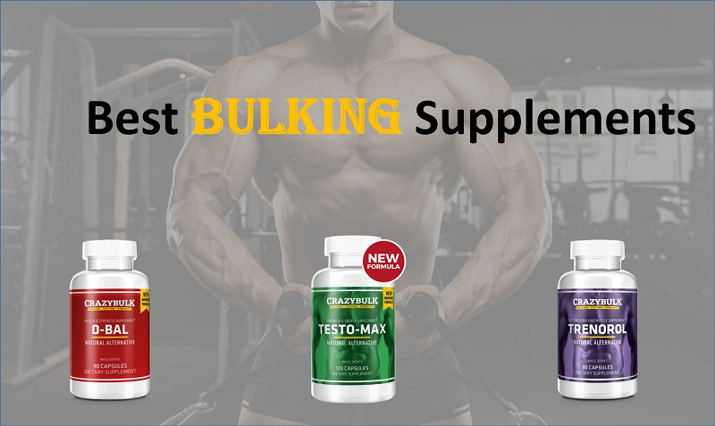 best-supplements-for-muscle-building-bony-to-beastly