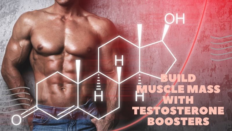 Build Muscle Mass With Testosterone Boosters [Most POPULAR Picks]