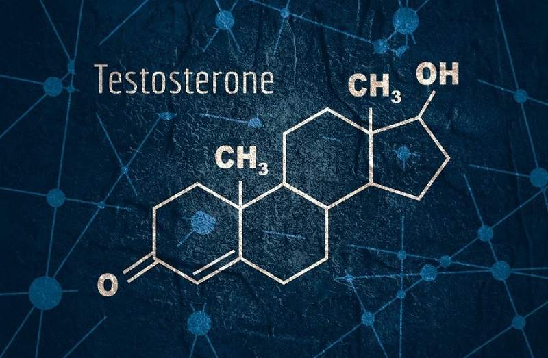 Testosterone Supplement Benefits