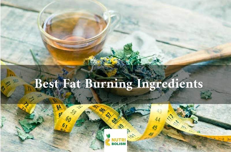 Best Fat Burning Ingredients