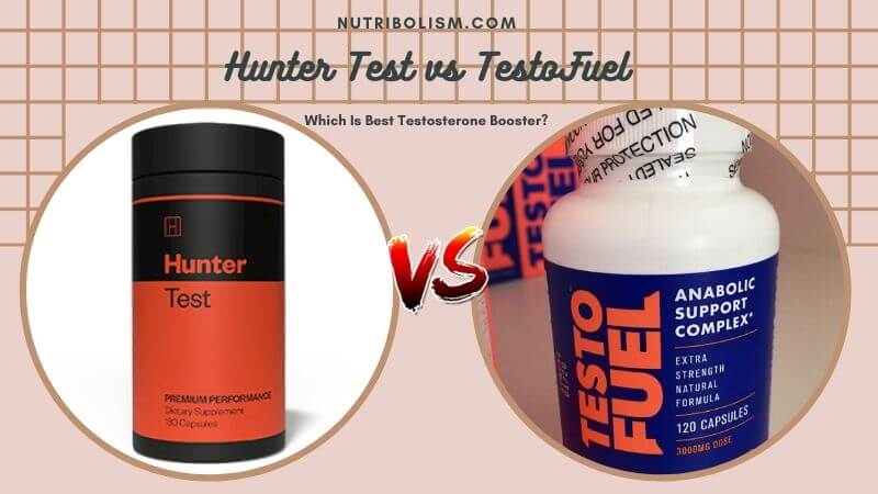 Hunter Test vs TestoFuel – Which Is More Reliable and Effective?