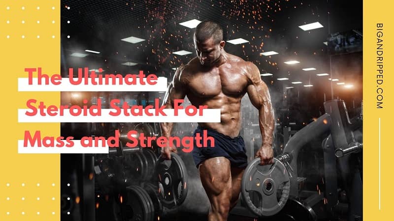 Best Steroid Stack for Mass and Strength By Crazy Bulk In 2020