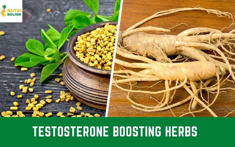 testosterone boosting herbs
