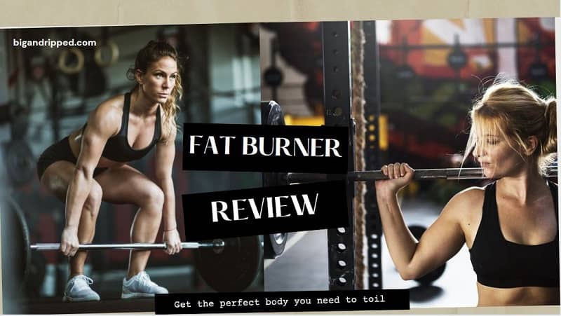 3 Best Fat Burner Review – Instant Knockout, Leanbean And Hourglass