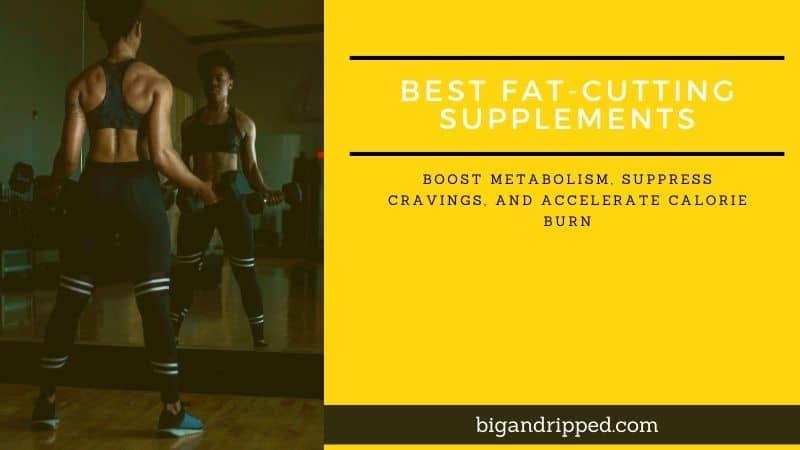 Best Fat Burning Supplement For Cutting