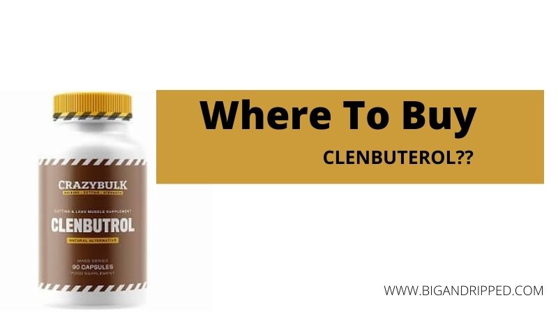 Where to Buy Clenbuterol – [Official Website or Amazon?]