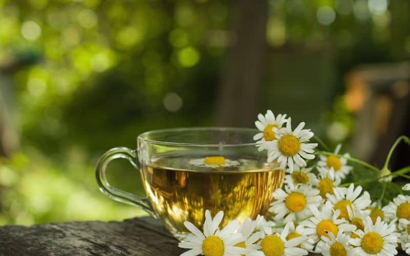 Does Drinking Chamomile Tea Really Help You Fall Asleep?