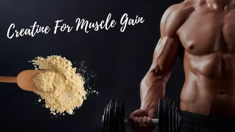 How Creatine Helps You Gain Muscle and Strength? Reviewed