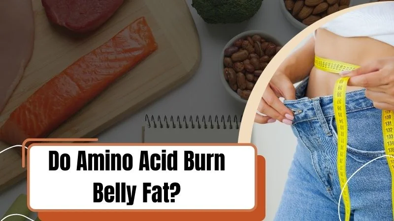 Do Amino Acids Burn Belly Fat