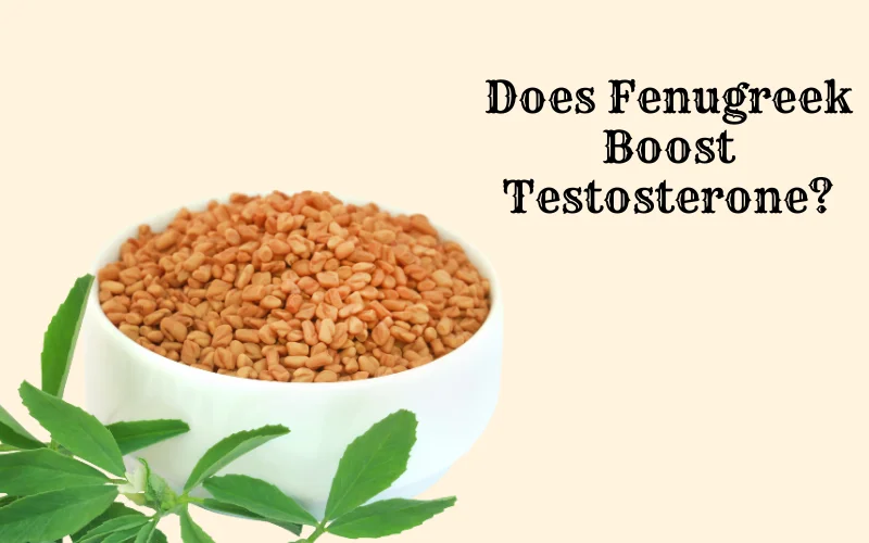 Does Fenugreek Boost Testosterone Levels in Men – Scientific Evidence