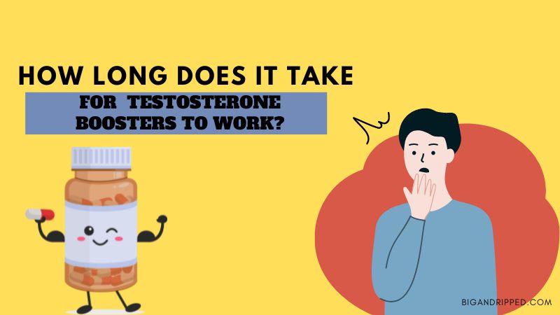 How Fast Testosterone Booster’s Work for Men – Know Here!