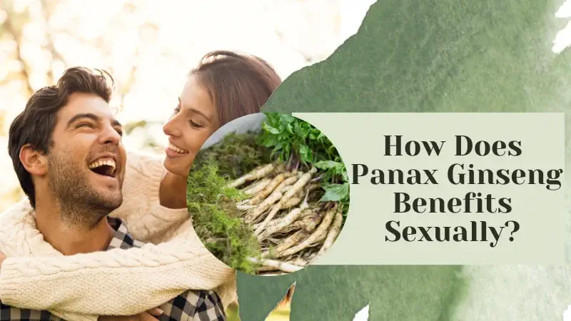 Panax Ginseng benefits sexually