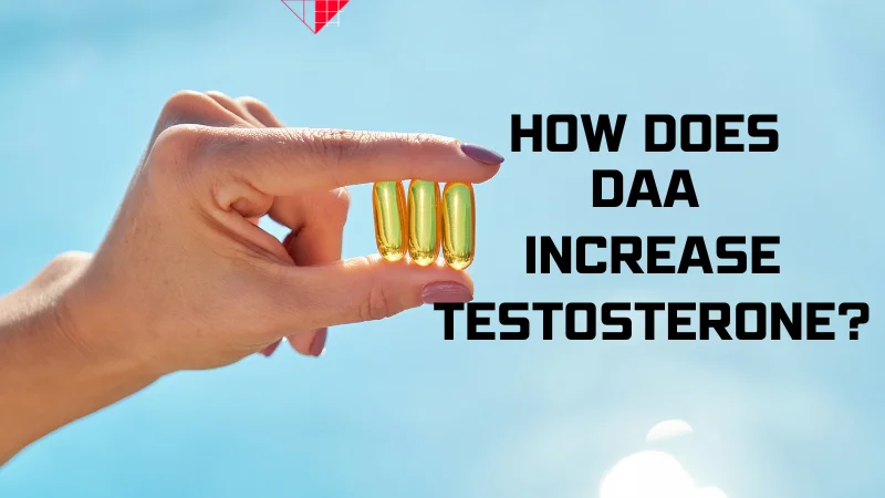does DAA increase testosterone levels