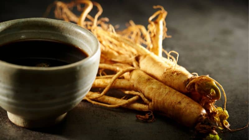 How does ginseng help you lose weight