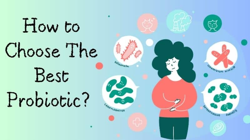 6 Factors to Consider How to Choose the Best Probiotic for Gut
