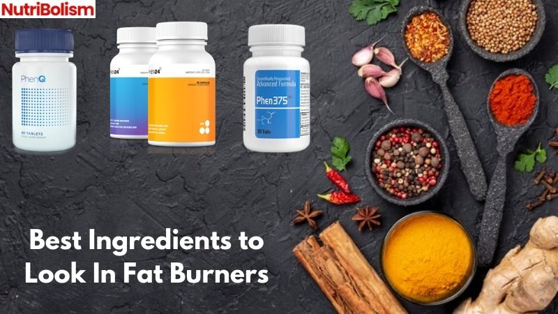 Ingredients That Makes The Best Fat Burner Supplement