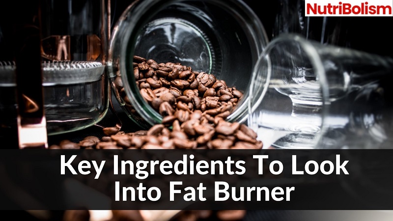 4 Powerful Ingredients You Must Look For In Fat Burners