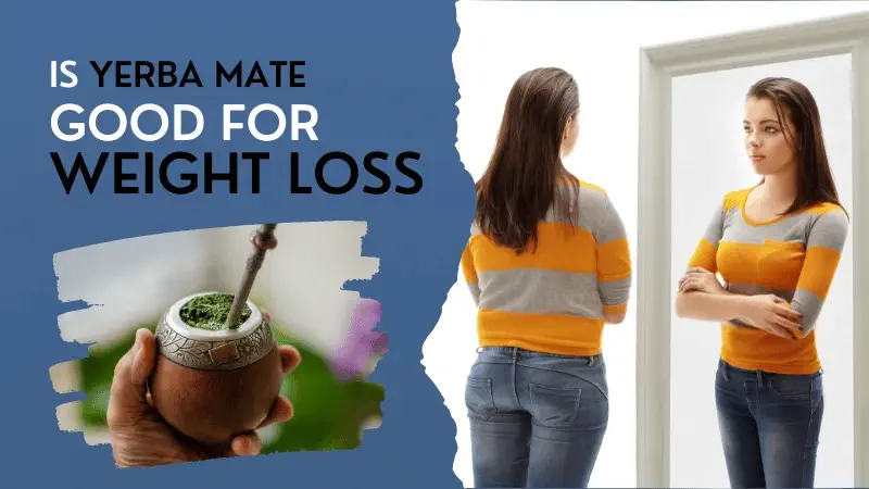 Is Yerba Mate good for weight loss