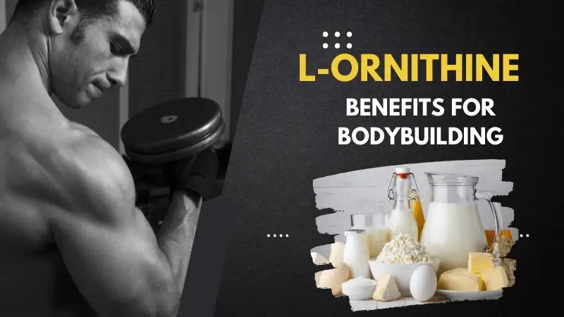 L-ornithine benefits for bodybuilding