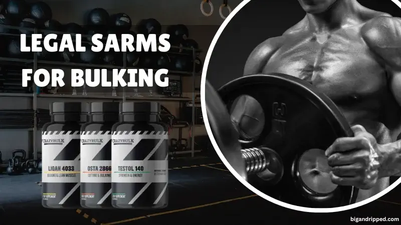 Top 3 Legal SARMs Alternatives for Bulking – How Do They Work?