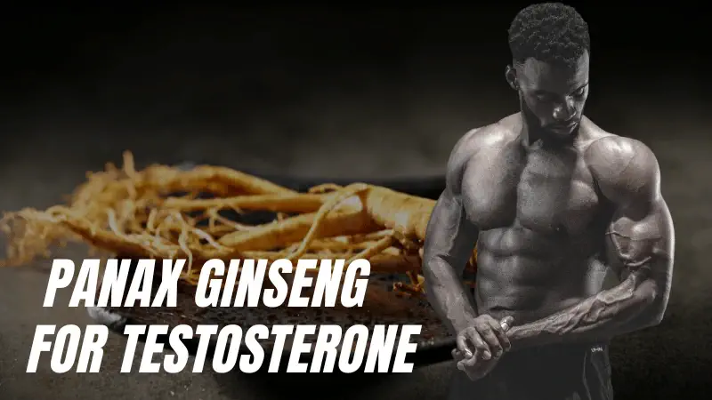 Panax ginseng for testosterone
