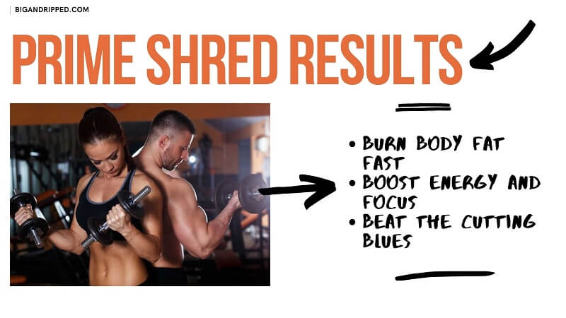 Prime Shred Results: Ingredients, How It Works & Side Effects