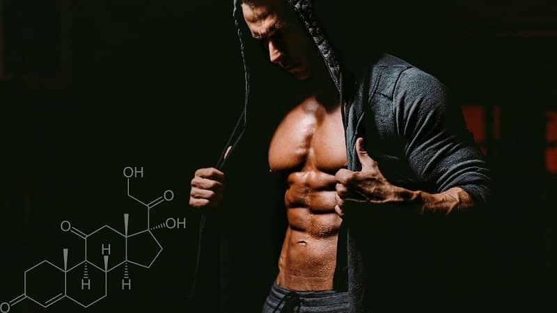 Is Cardarine Best SARMs for Cutting? Safe and Legal Alternative