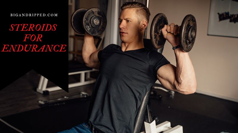 Steroids for Endurance and Strength – Are They Safe to Use?