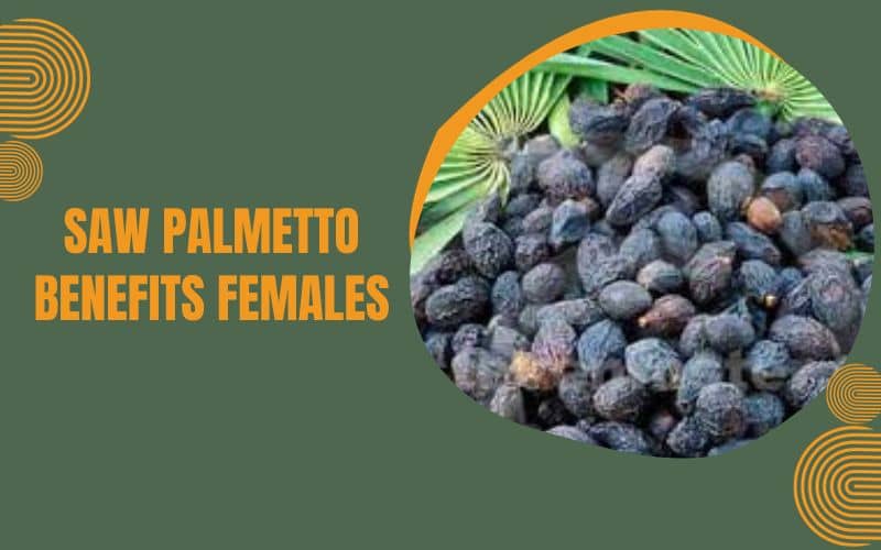 Does Saw Palmetto Benefits Females: How Much Should a Women Take?