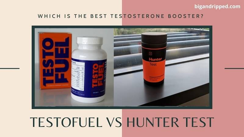 Which Testosterone Booster You Should Buy – TestoFuel Or Hunter Test?