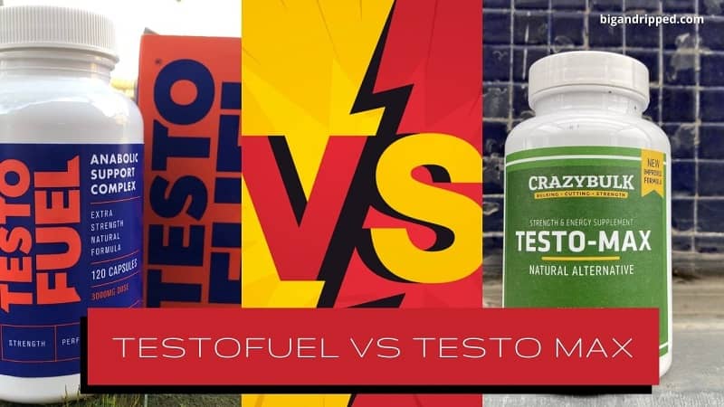 TestoFuel vs Testo Max T-Booster Pills
