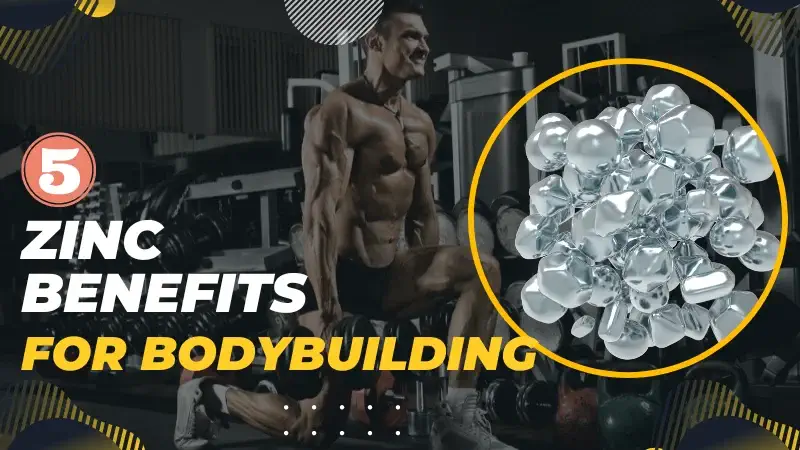 Top 5 Zinc Bodybuilding Benefits – How Does it Promote Gains?