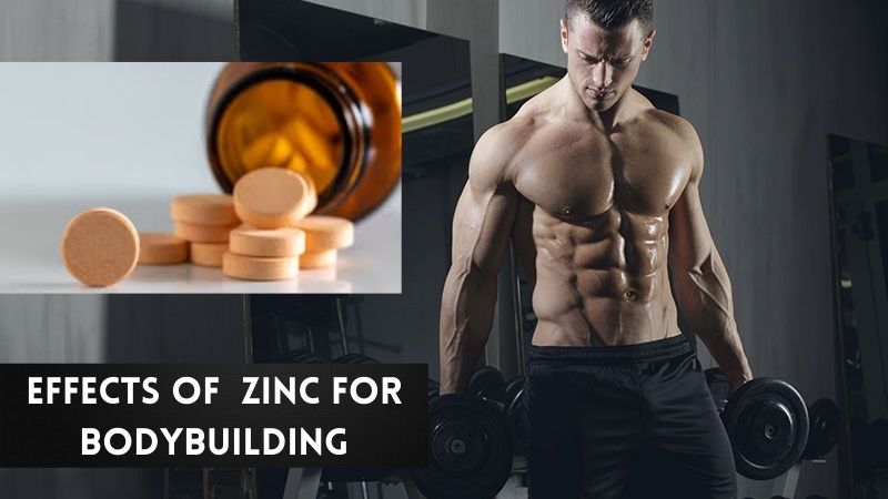 Zinc for bodybuilding