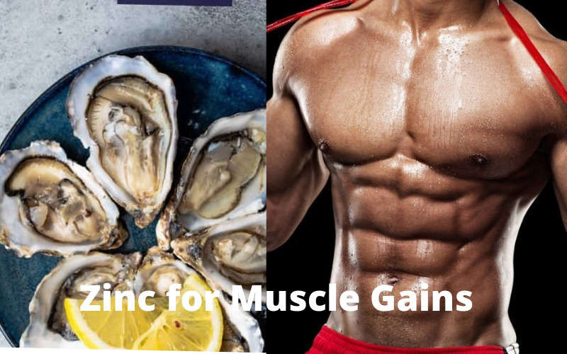 Zinc for bodybuilding and muscle gains