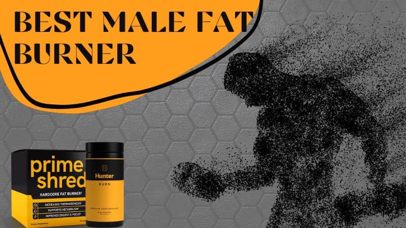 5 Factors to Consider while Purchasing the Best Male Fat Burner