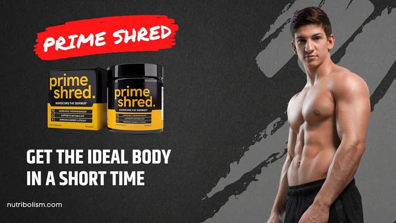 Is Prime Shred The Best Fat Burner for Men? Explained Here