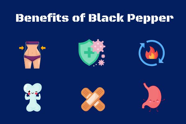 black pepper benefits