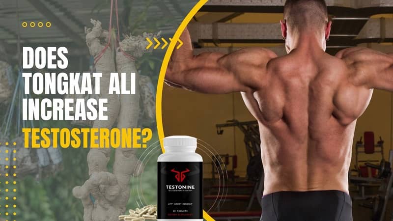 How Tongkat Ali Boosts Testosterone-Does it Really Work?