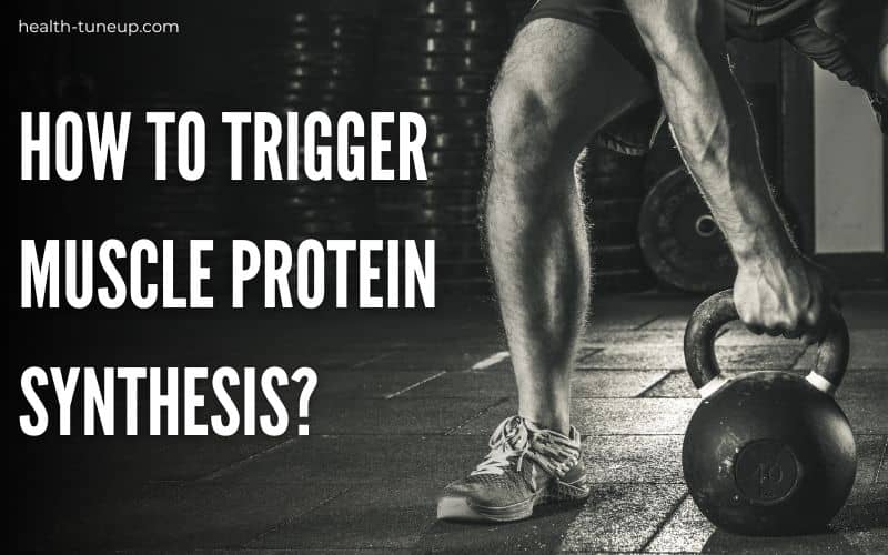 how to trigger muscle protein synthesis