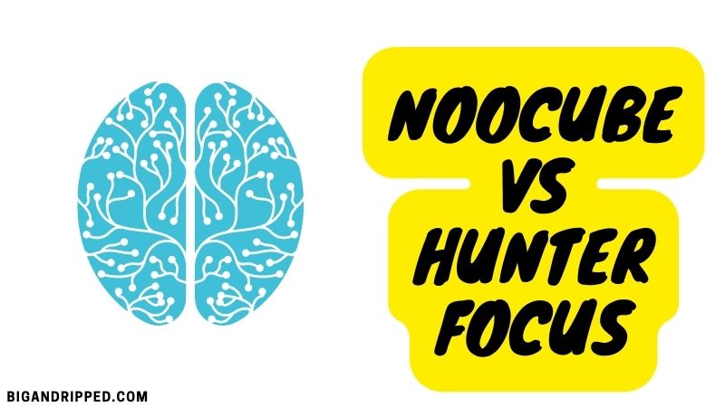 Hunter Focus vs Noocube Reviews