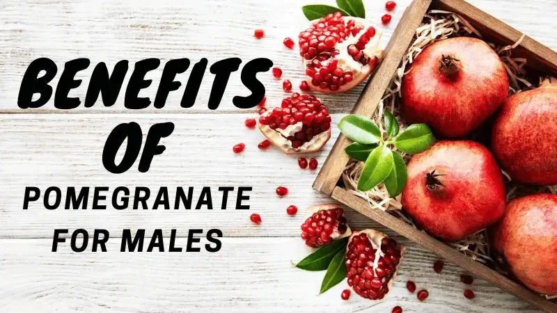 pomegranate benefits for males