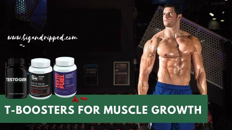 How do T-Booster for Muscle Growth for Men Work?