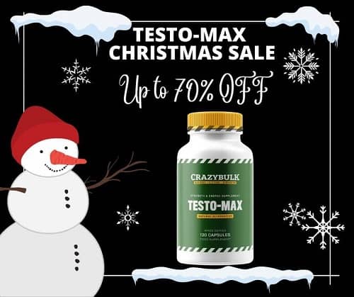 testo-max christmas sale