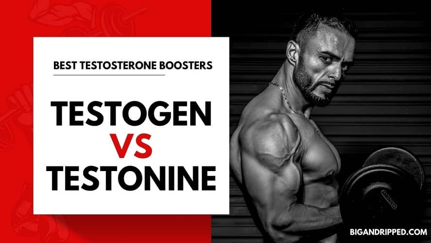 testogen vs testonine