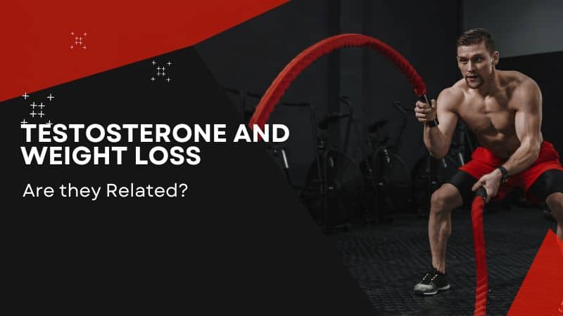 Will Increasing Testosterone Help Lose Weight