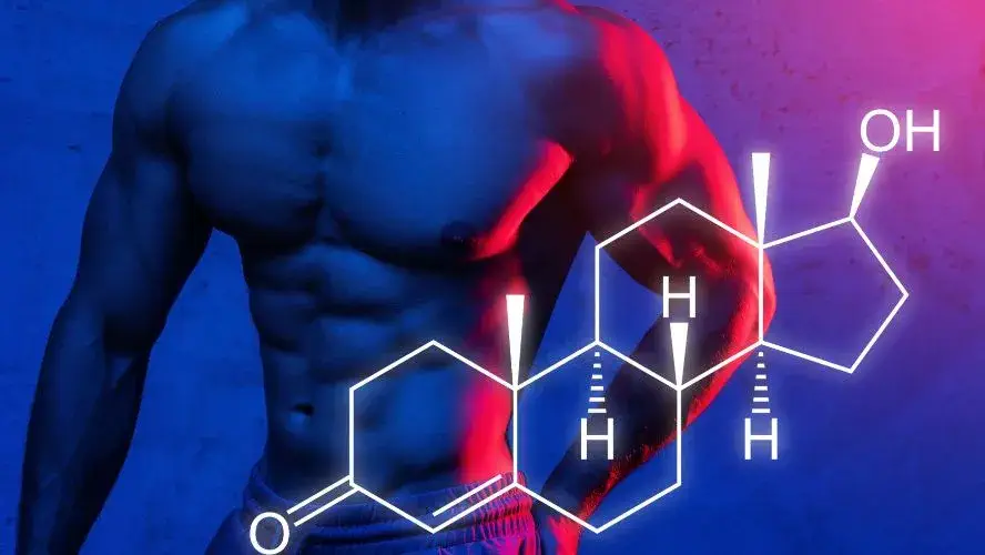 Best Testosterone Boosting Pills for Bodybuilding | The Complete Guide